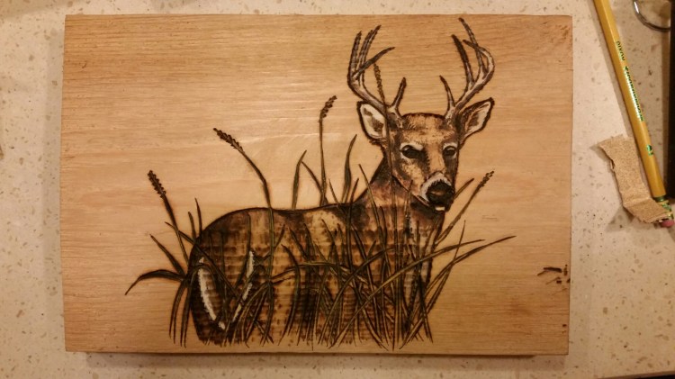 20140928_214634.jpg image